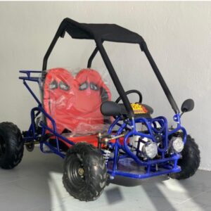 Buggy Infantil 125cc 2