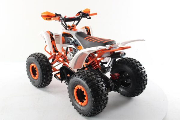 Quad Raptor 125cc marcha atras 5